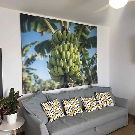 Lägenhet Casa Banana Ocean View Together With The Car *